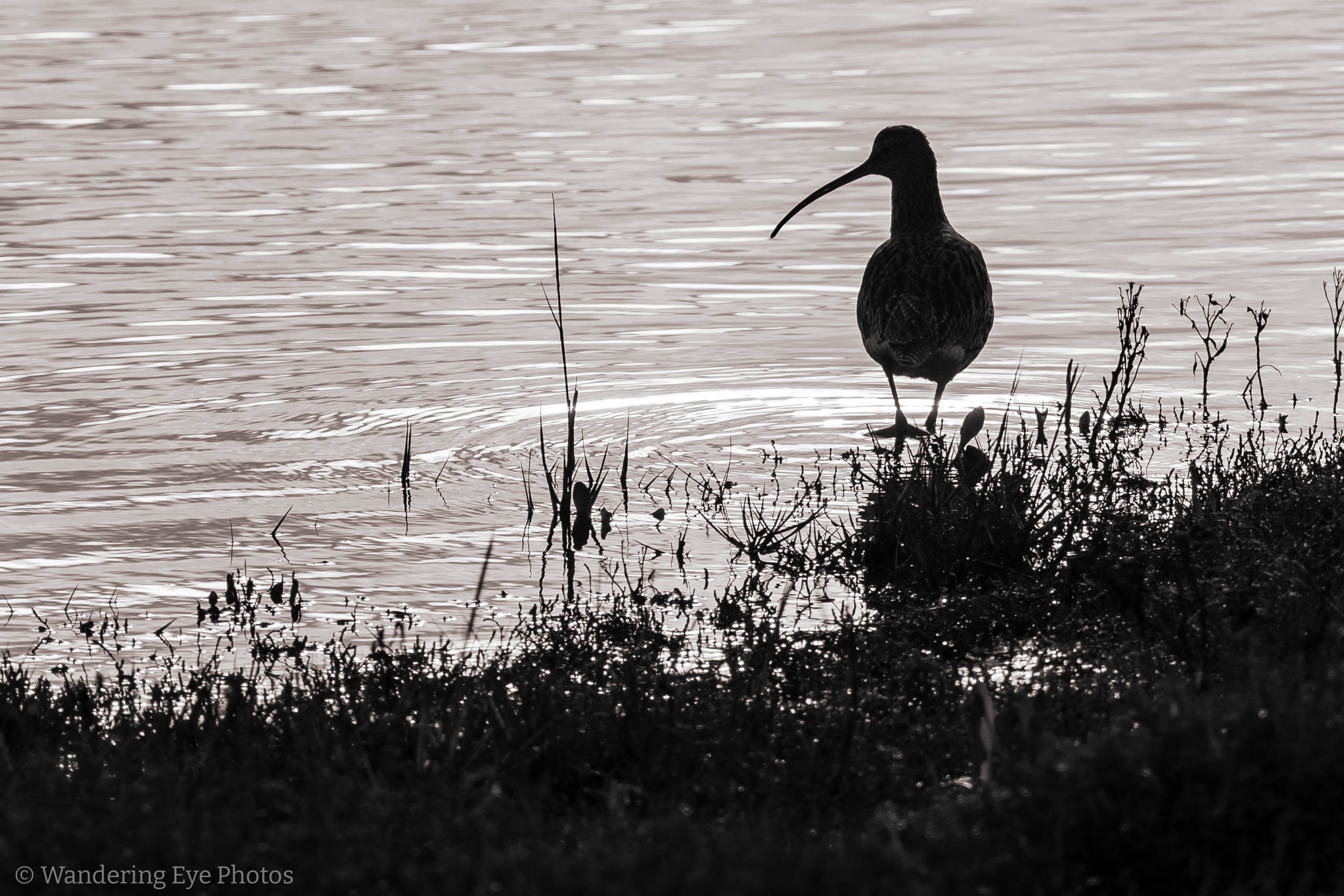 11.17 10.41.13 DSC00095